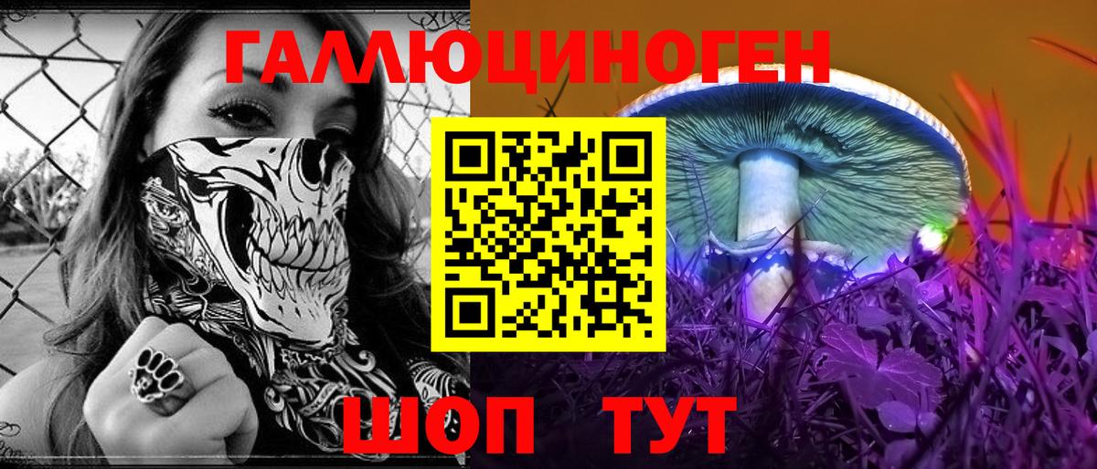 Галлюциногенные грибы GOLDEN TEACHER Родники
