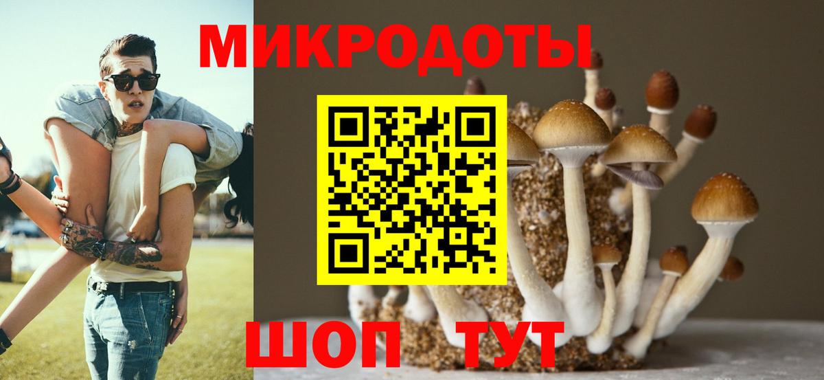Родники  Галлюциногенные грибы Magic Shrooms  магазин  наркотиков  Вход с VPN 